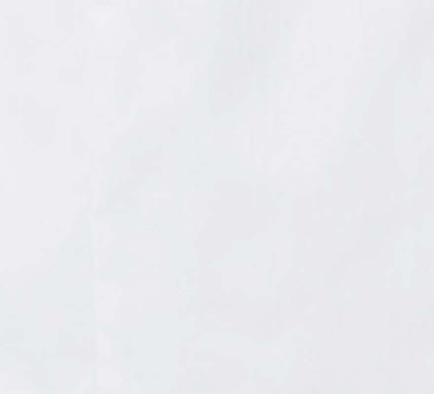 白衣ーメンズシングルコート 1538PP (ディッキーズ)商品画像3