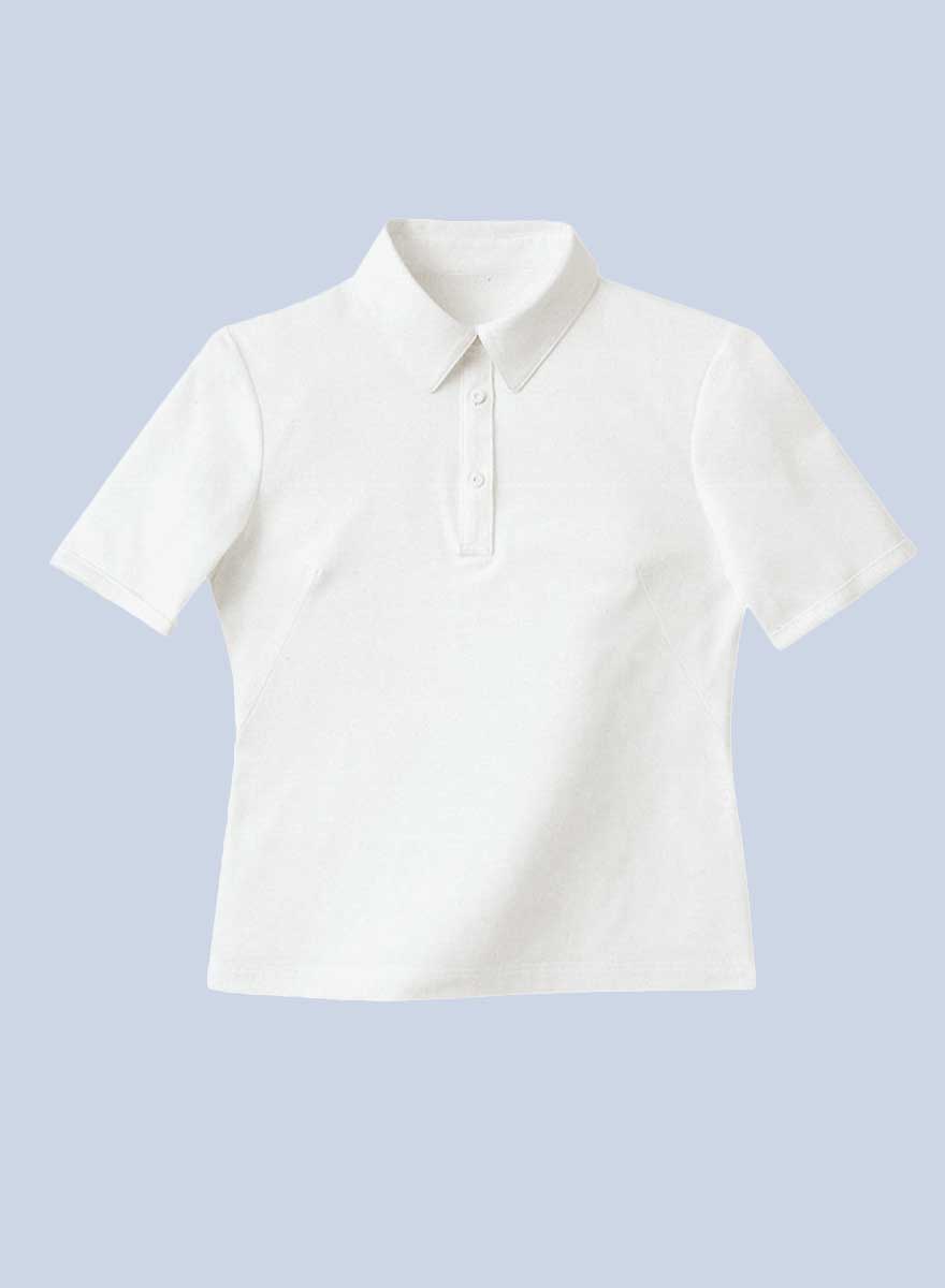 ポロシャツ WP301 (ハネクトーン)商品画像2
